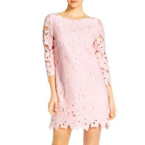 Felicity & Coco Dresses